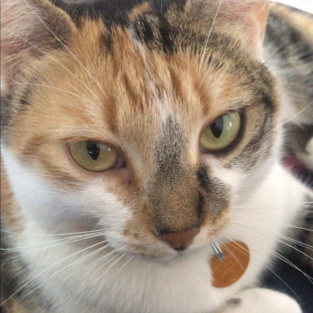 Meet your Posher, Laura